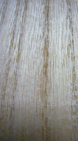 桐の木　国産材