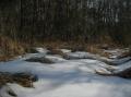 小湿地を覆う雪