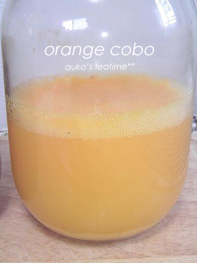 orangecobo.jpg