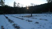 英連邦戦死者墓地1