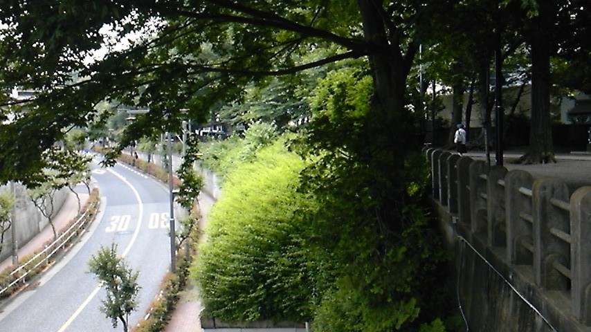 平塚神社沿いの道