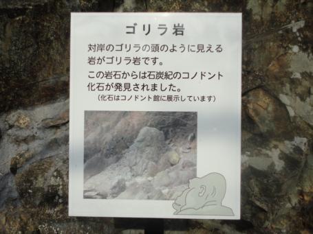 ゴリラ岩説明