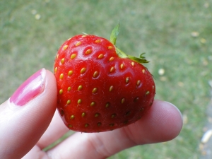 https://blog-imgs-37-origin.fc2.com/k/o/s/kosstyle/1402503_heart_shaped_strawberry.jpg