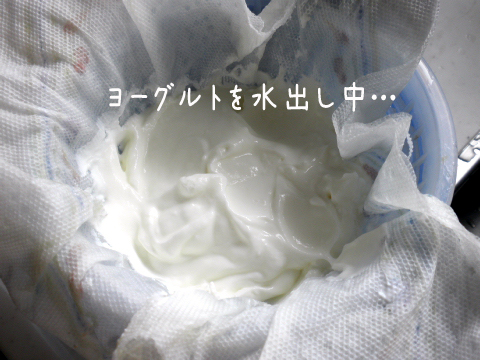 yoguruto.jpg