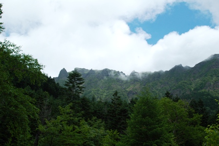 20110811-4登山道から見えた横岳のギザギザ