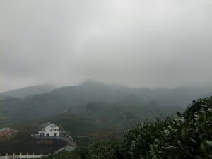 獅峰山2009.12
