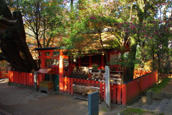 水谷神社2