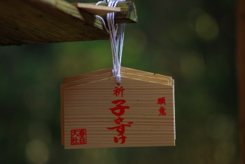 奈良水谷札