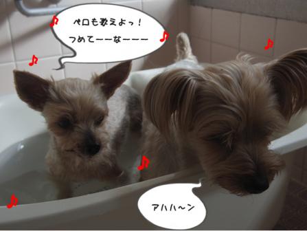 お風呂8