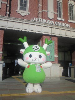 ふっかちゃん駅頭PR20131030 (3)