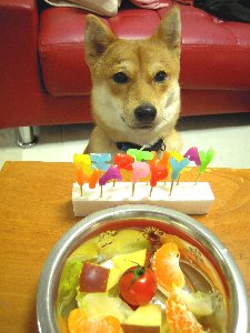 りゅうくん１歳のお誕生日おめでとう☆