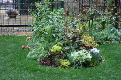 雨の庭２