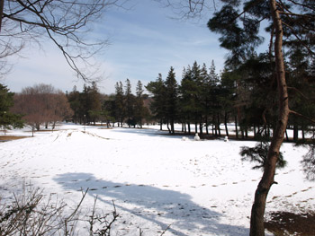 雪の野川公園