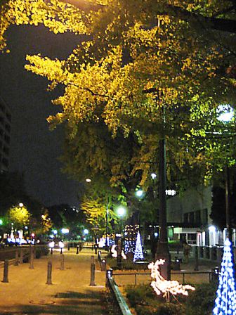 日本大通り2009年11月