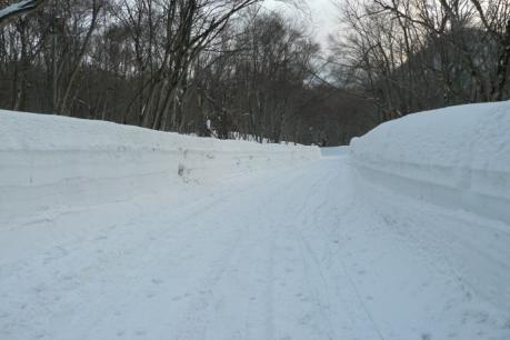 雪の回廊状態の道