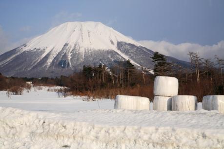 冬の伯耆富士